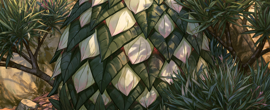 Oleanth